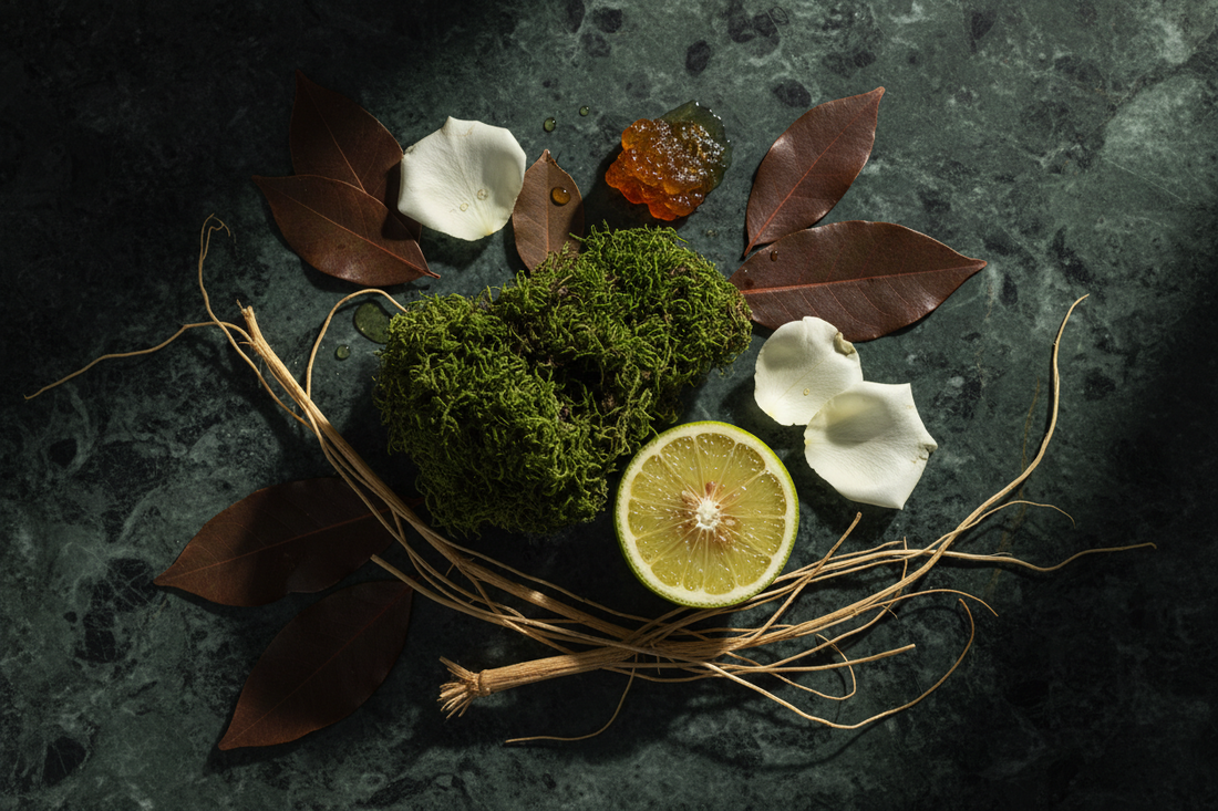 Chypre: la familia olfativa más elegante de la perfumería