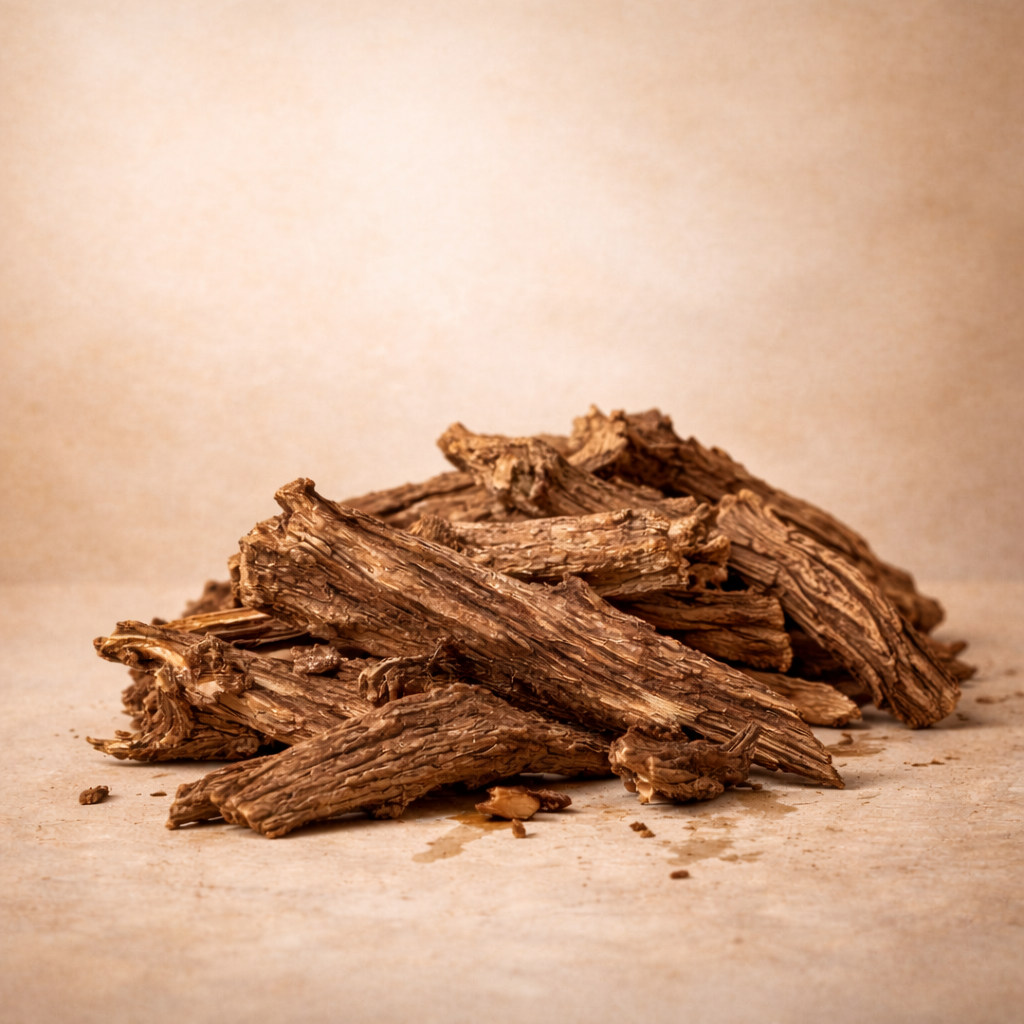 Oud: la resina más lujosa y misteriosa del perfume